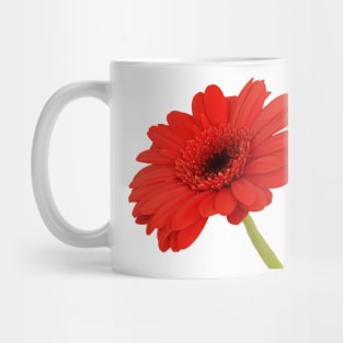 Red Gerbera Daisy Mug